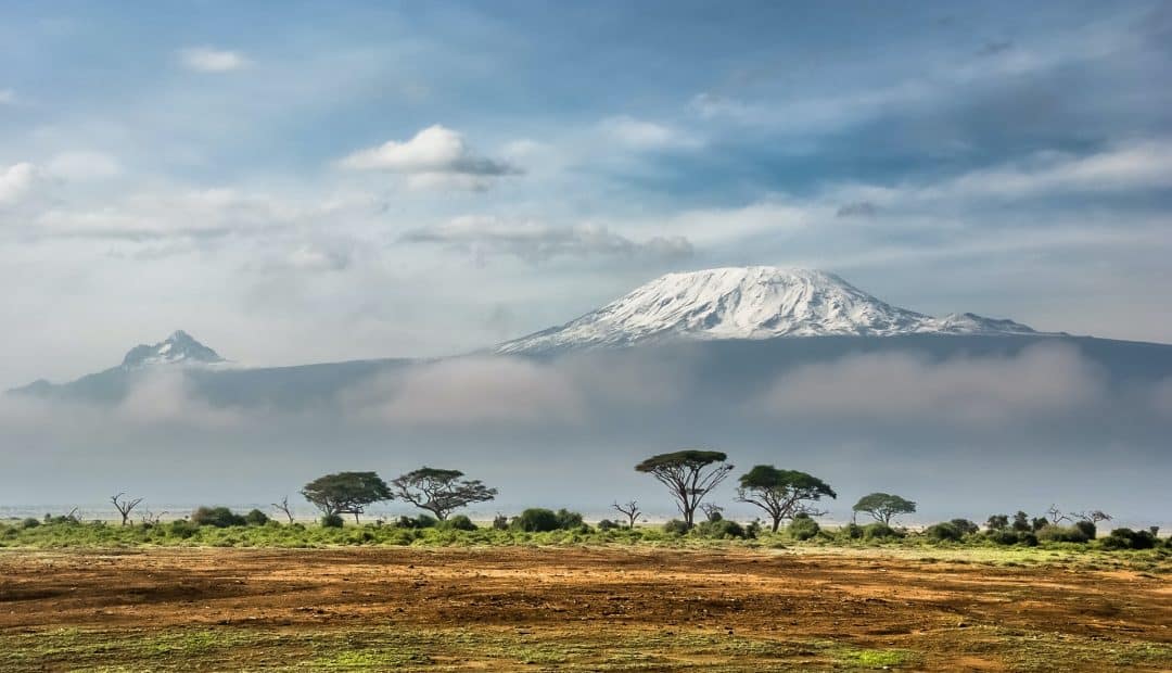 3 raisons qui vous obligeront à voyager au Kenya