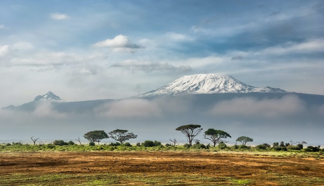 3 raisons qui vous obligeront à voyager au Kenya