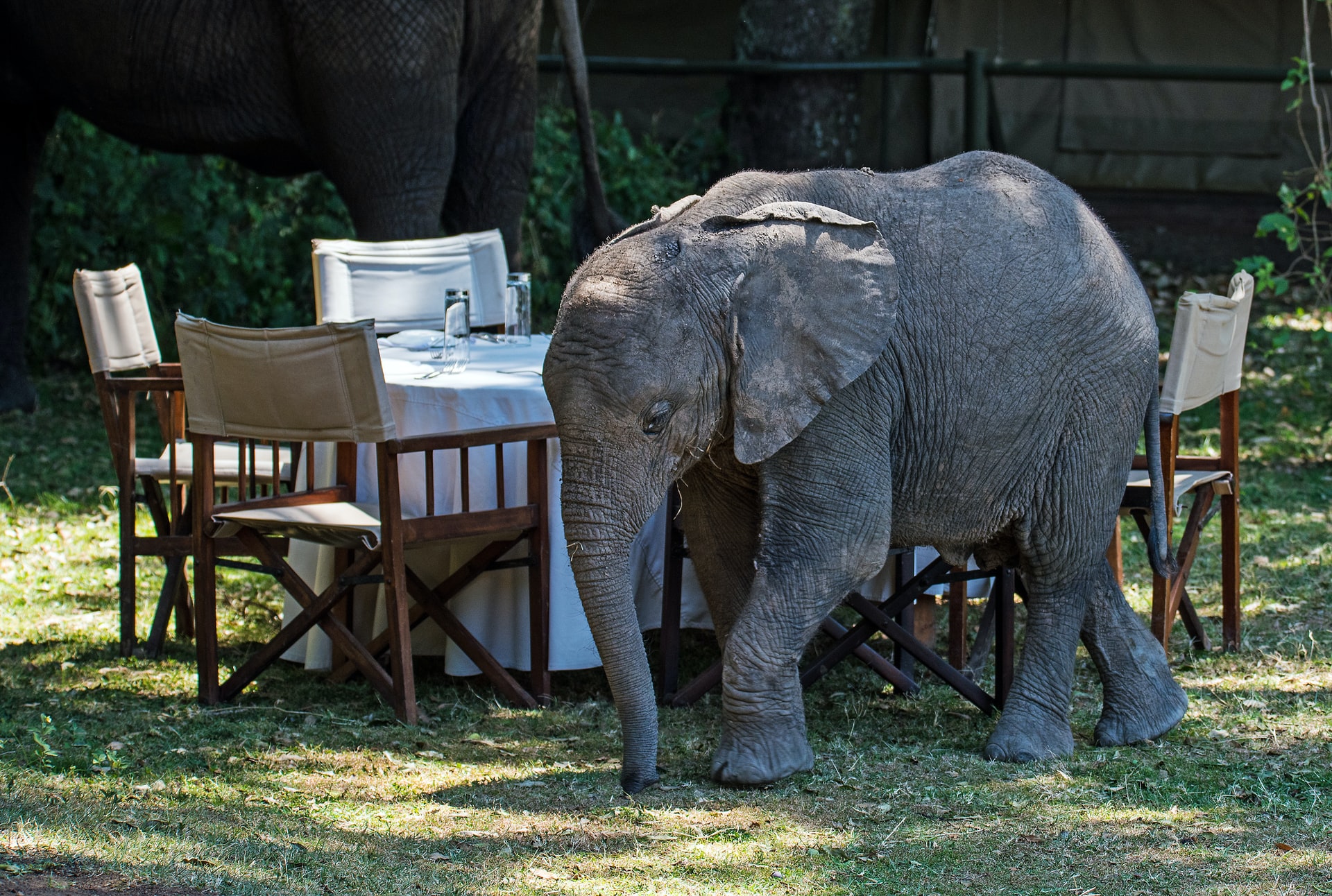 Voyage au Kenya dans le luxe