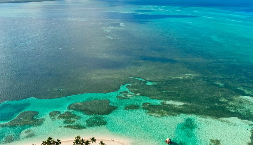 Le guide ultime de la plongée aux Bahamas