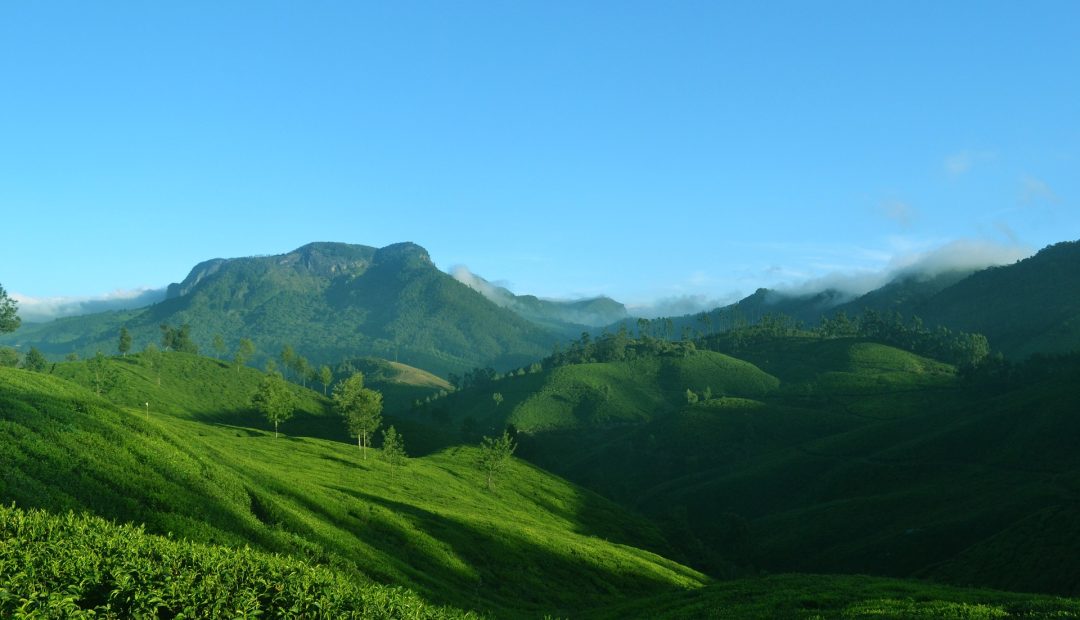 Lieux enchanteurs pour les amoureux de la nature en Inde