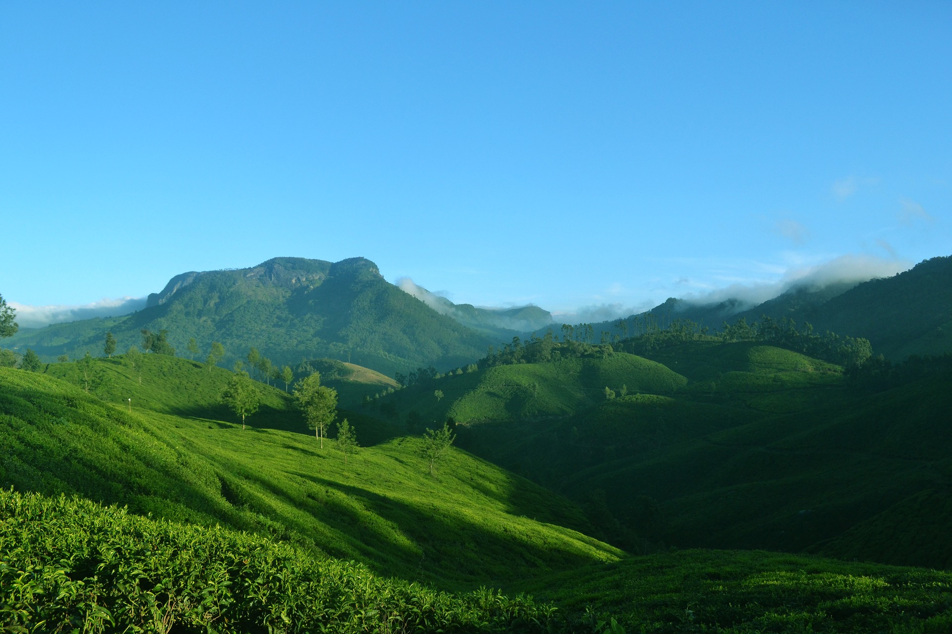 Kerala