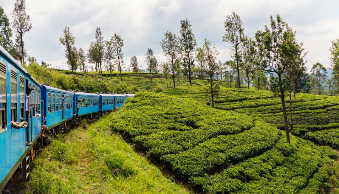 Ella au Sri Lanka