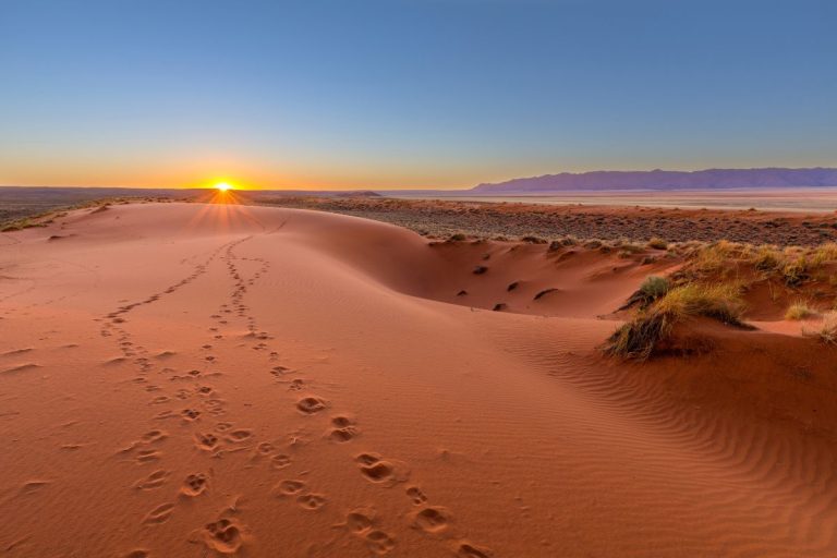 Désert du Kalahari