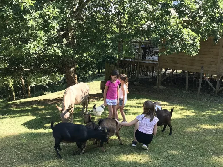 mini ferme camping dordogne 1.jpg