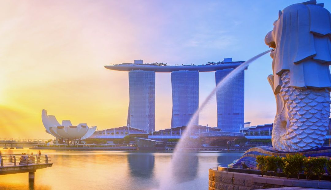sim singapour