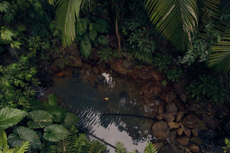 parc national de la guadeloupe